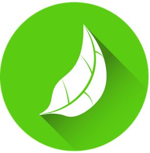 Vol.9 バイオマス発電に関する世界特許解析